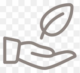 What Is Food State Vibrant - Value Icon png