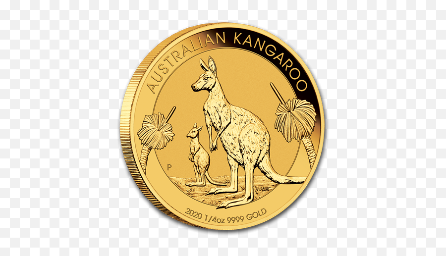 14oz - 2020 Australian Kangaroo Gold Coins Gold Spot 2020 1 Oz Kangaroo Gold Coin Png,Kangaroo Transparent Background