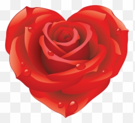 Rose Icon Clipart 23028 - Web Icons PNG