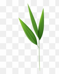 Bamboo Clipart Leaf Transparent - Leaves Png