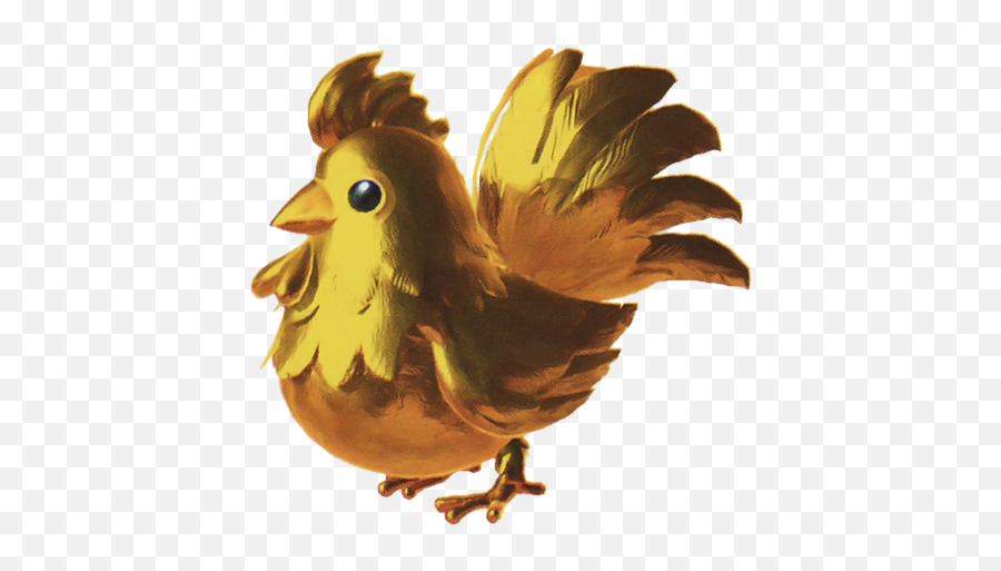 Download Transparent Chicken Golden - Nintendo Memes Png Gold Cucco Hyrule Warriors,Chicken Transparent