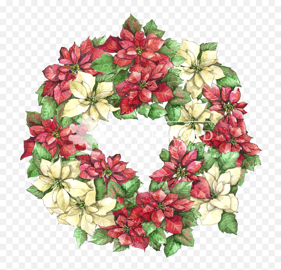 Poinsettia Wreath - Poinsettia Wreath Png,Poinsettia Png