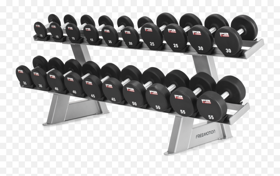 Twin Tier Dumbbell Rack - Free Weights Png,Weights Png