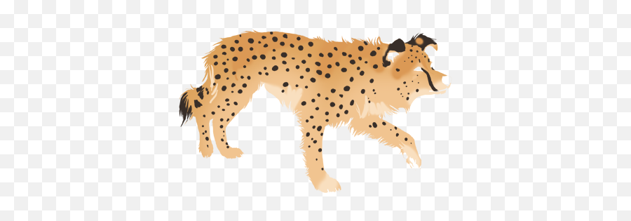 Index Of Agilityimagesautomatedimagesborder Colliedyes - Cheetah Png,Cheetah Png