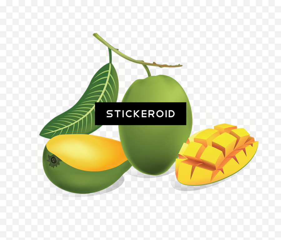 Download Green Mango - Green Mango Png Png Image With No Mango Fruit Drawing,Mango Png