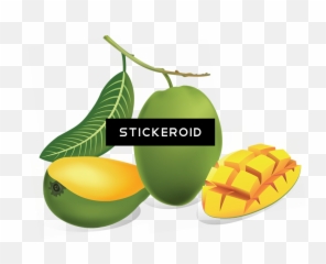 Download Green Mango - Green Mango Png Png Image With No Mango Fruit Drawing,Mango Png