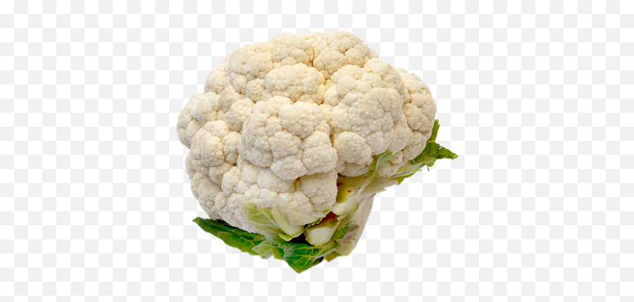Download Hd Cauliflower Png Image - Cauliflower,Cauliflower Png