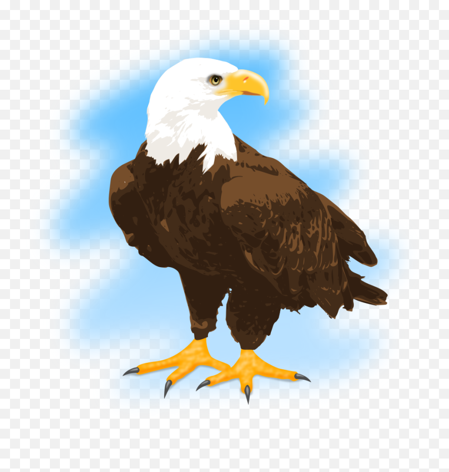 Eagle Clipart Feather - Eagle Clipart Png,Bald Eagle Png