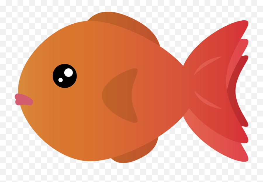 Goldfish Fish Tank - Peixinho Png,Fish Tank Png