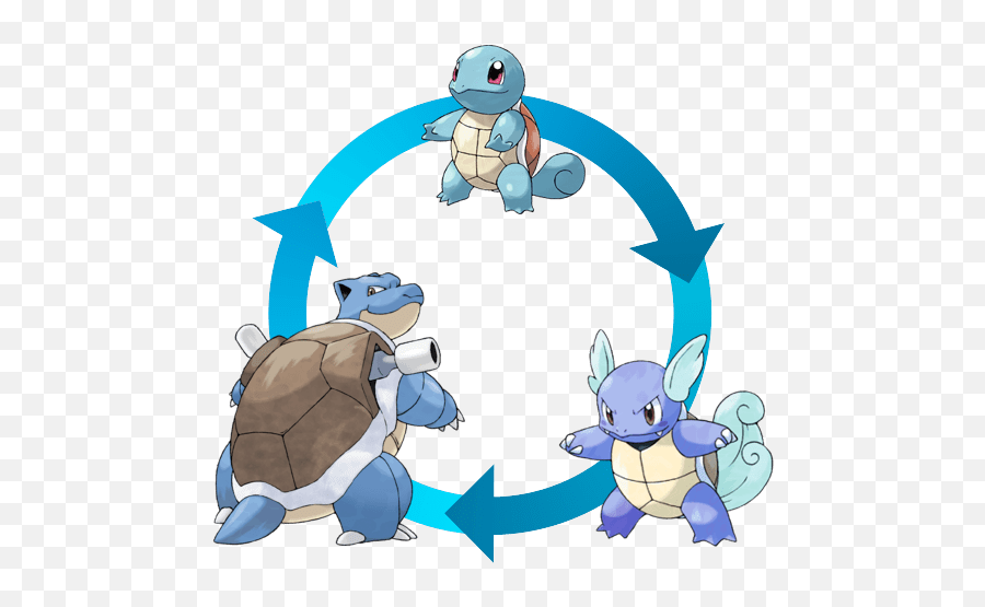 Download Hd A Squirtle Becomes Wartortle - Charizard Blastoise Venusaur Png,Pokemon Egg Png