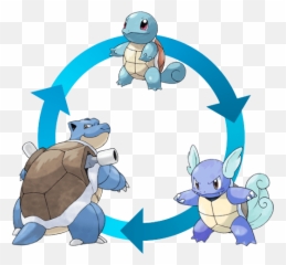 Download Hd A Squirtle Becomes Wartortle - Charizard Blastoise Venusaur Png,Pokemon Egg Png