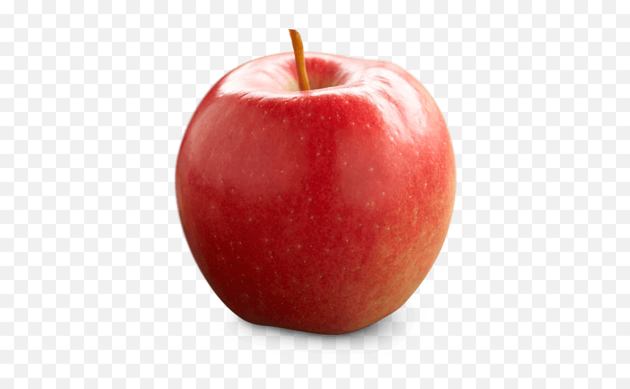 Ontario Apple Growers - Types Of Apples In Ontario Png,Apple Transparent