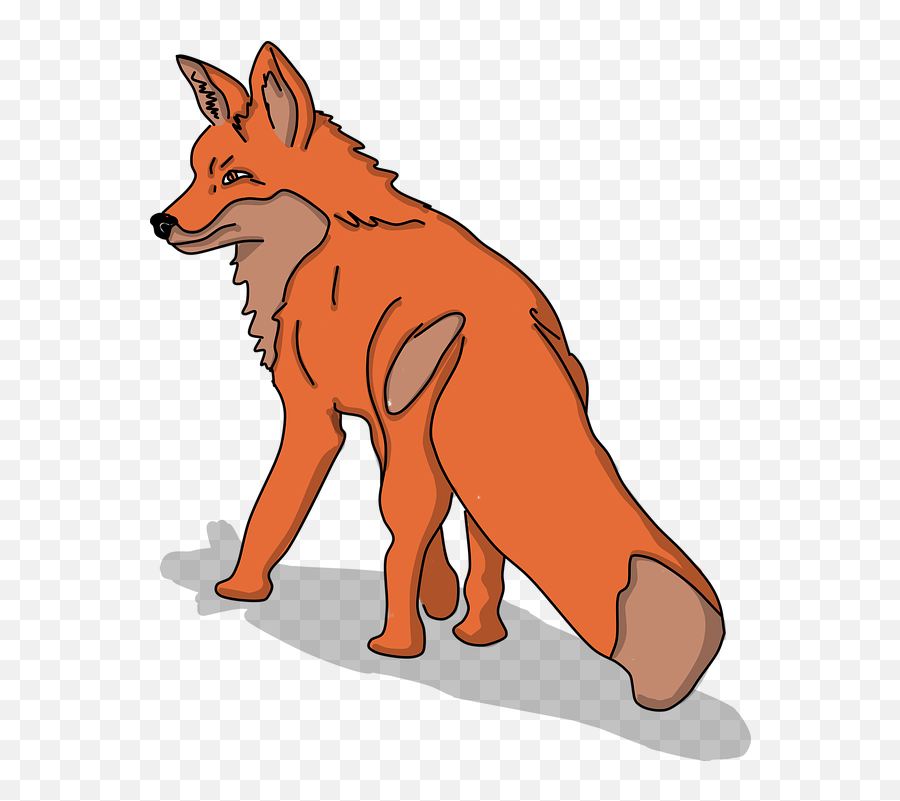 Fox Animal Animals - Free Vector Graphic On Pixabay Wolfdog Png,Cute Animals Png