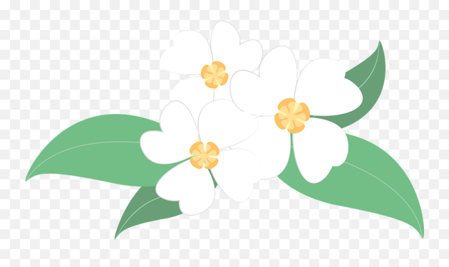Download Bunga Melati Vector Png Transparent - Uokplrs Vektor Bunga Putih Png,Bunga Png