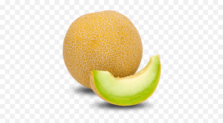 Melon Png - Honeydew Melon Png,Melon Png