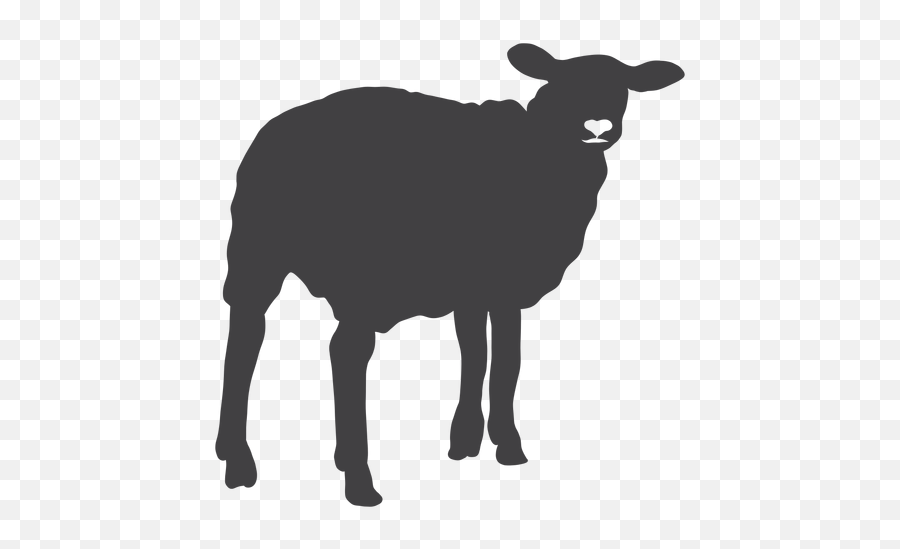 Sheep Lamb Wool Hoof Silhouette - Sheep Silhouette Transparent Png,Sheep Transparent