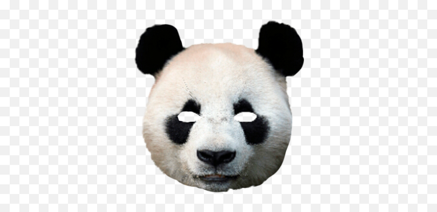 Download Hd Mask Costume Scary Creepy Panda Head Mask Png Panda Face Png Free Transparent Png Images Pngaaa Com - how to get the panda mask in roblox for free