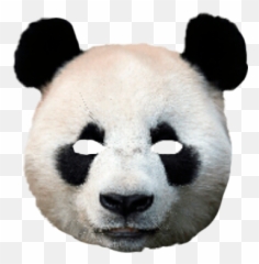 Download Hd Mask Costume Scary Creepy - Panda Head Mask Png,Panda Face Png