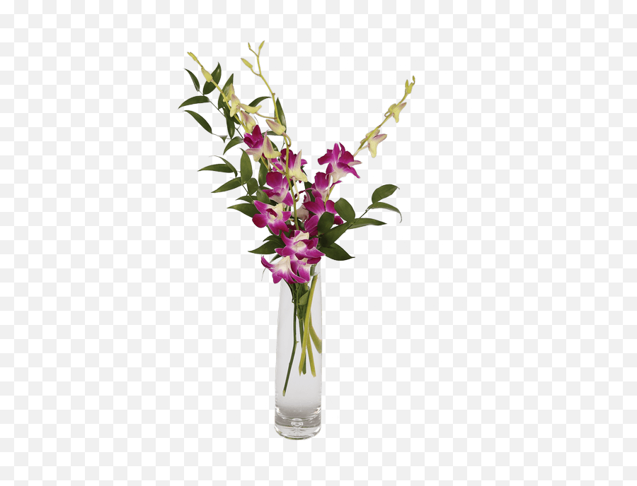 Download Elegant Orchids Purple - Orchid Png In Vase Png Moth Orchids,Orchid Png
