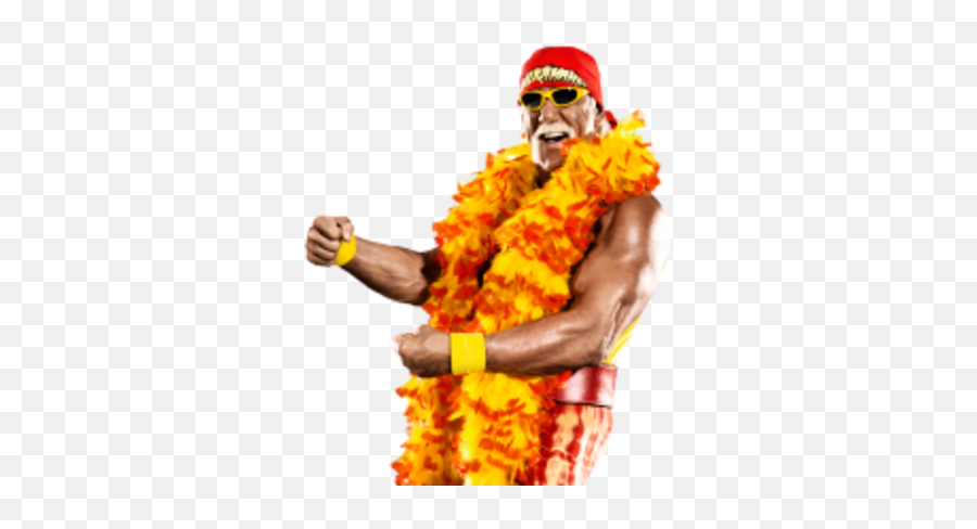 Hulk Hogan - Hulk Hogan Png,Hulk Hogan Transparent