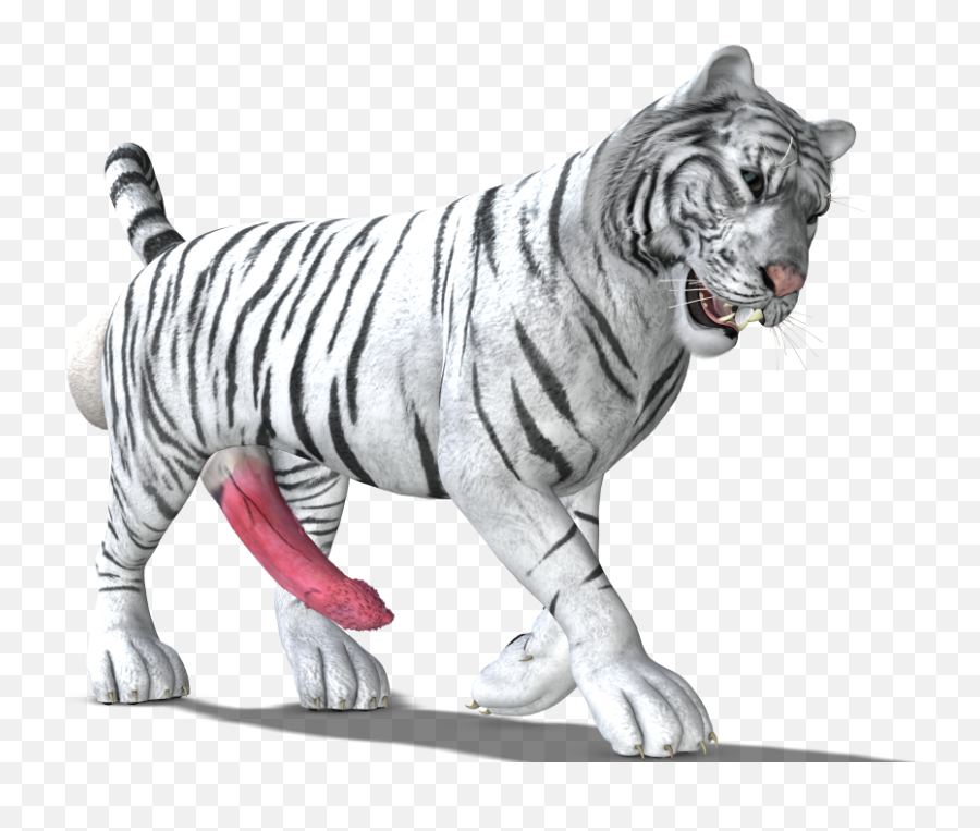 White Tiger - White Bengal Tiger Png,White Tiger Png