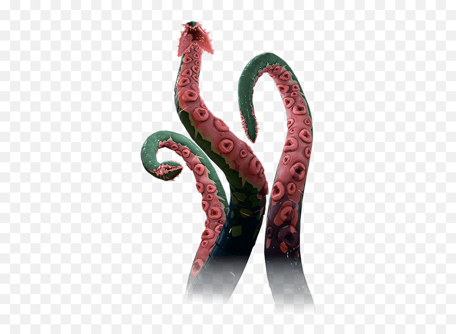 Sea Of Thieves - A Perilous Paradise Kraken Tentacle Png,Kraken Png