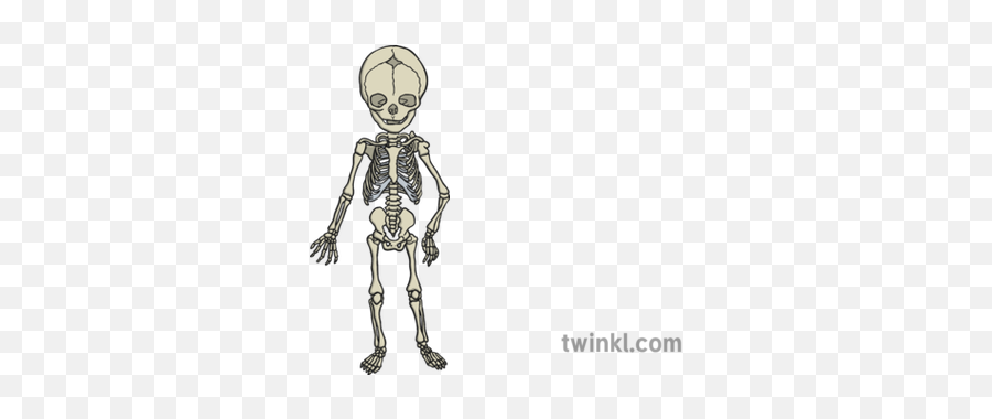 Baby Skeleton Illustration - Twinkl Creepy Png,Skeleton Arm Png