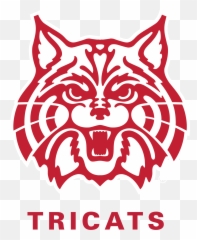 Wildcatredtricatsredpng University Of Arizona Brand - Tegal Mas Island