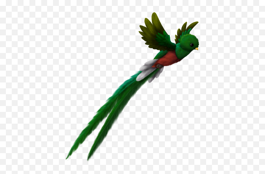Quetzal Flying - Lovely Png,Quetzal Png