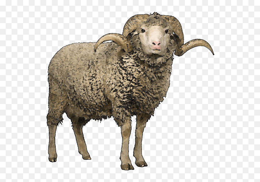 Sheep Png Transparent Background - Sheep With Horns Png,Sheep Transparent Background