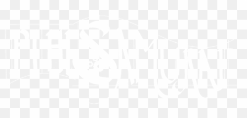 404 - PiHi Samurai White Background png