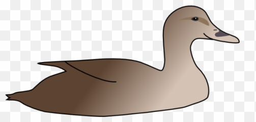 Duck Free To Use Cliparts - Clipartingcom Clip Art Png,Duck Clipart Png