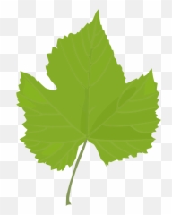 Leaf Clipart Png In This 19 Piece Svg And - Grape Png