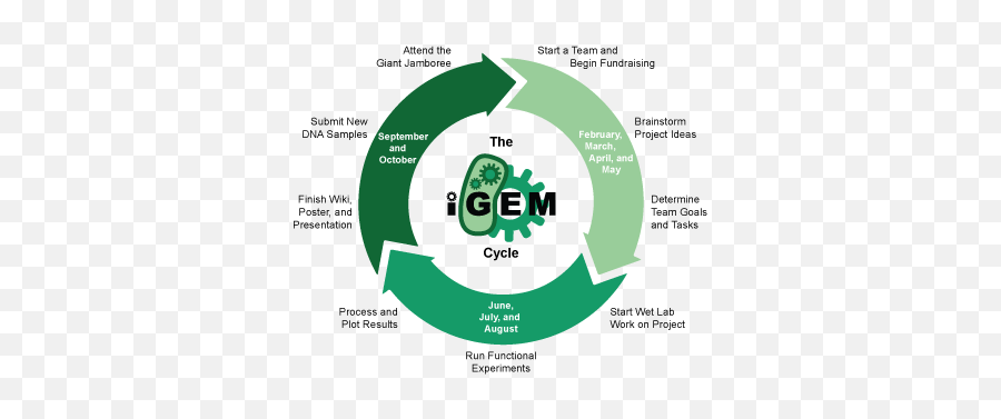 Sitemap - 2021igemorg Igem Competition Png,Testnav Icon