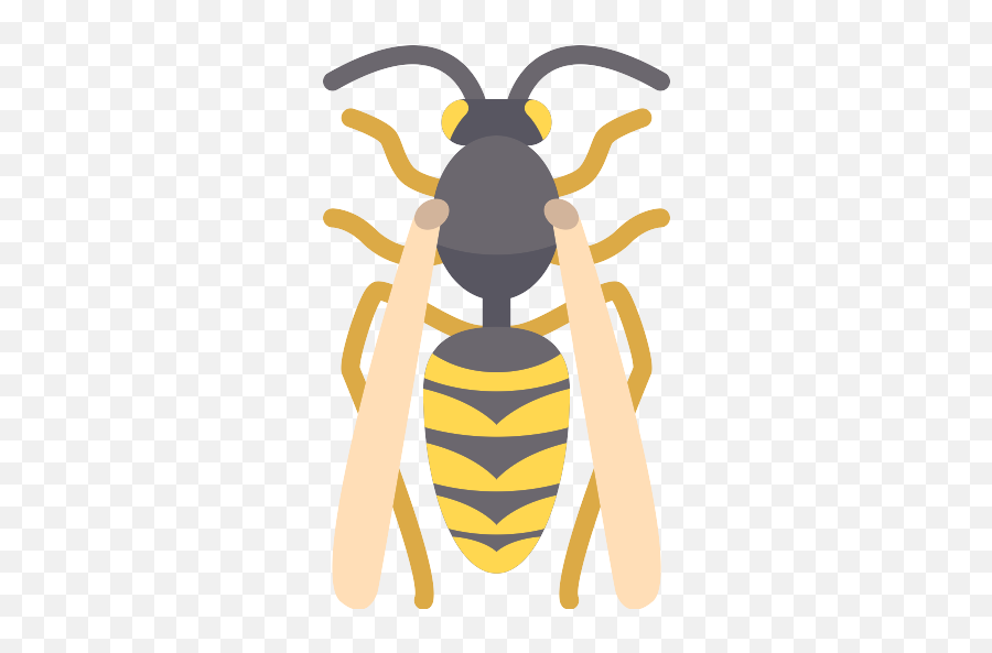 Wasp Png Icon - Honey Bee,Wasp Png