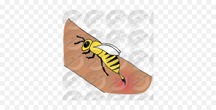 Bee Sting Picture For Classroom Therapy Use - Great Bee Stung Clipart Png,The Icon Sting