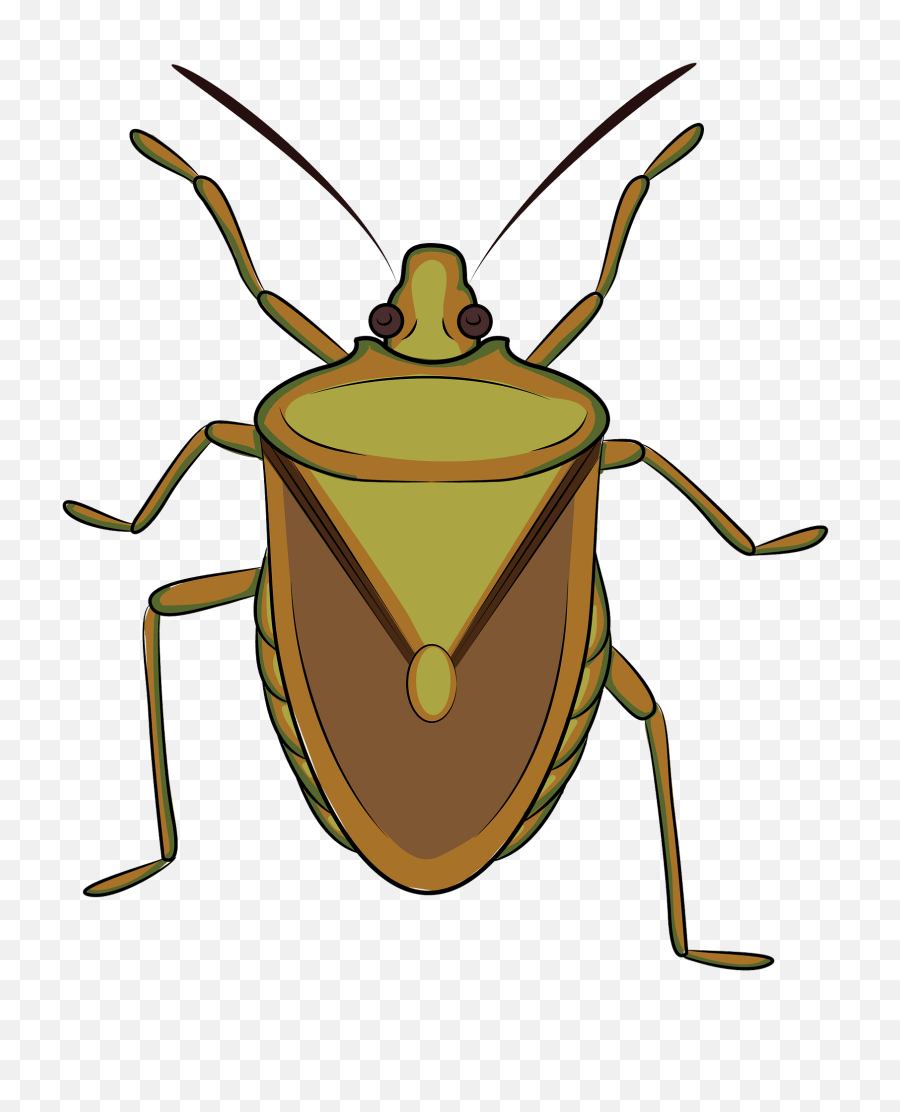 Brown Marmorated Stink Bug Clipart Free Download Creazilla - Stink Bug Clipart Png,Stink Png