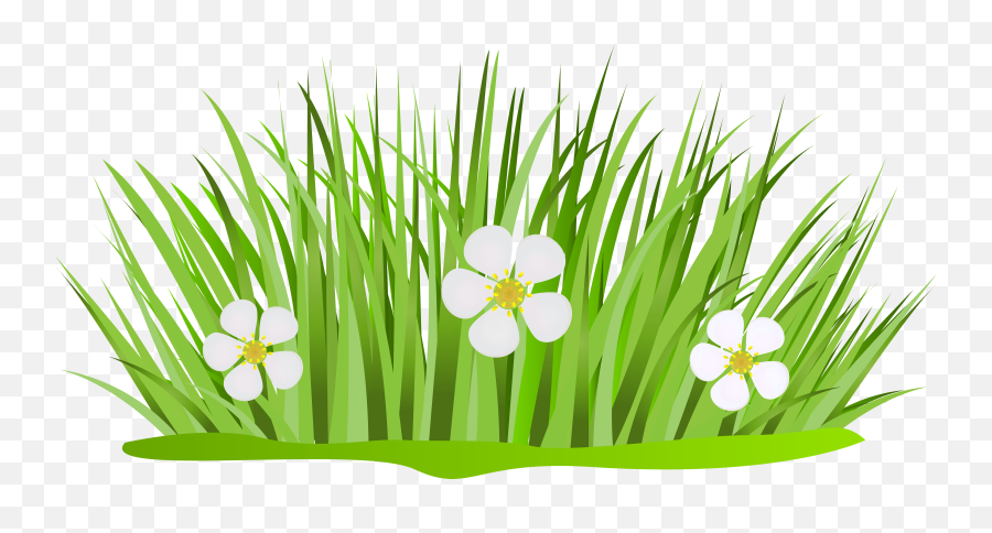 Flowers Cartoon Transparent Png - Grass With Flowers Clipart,Flower Cartoon Png