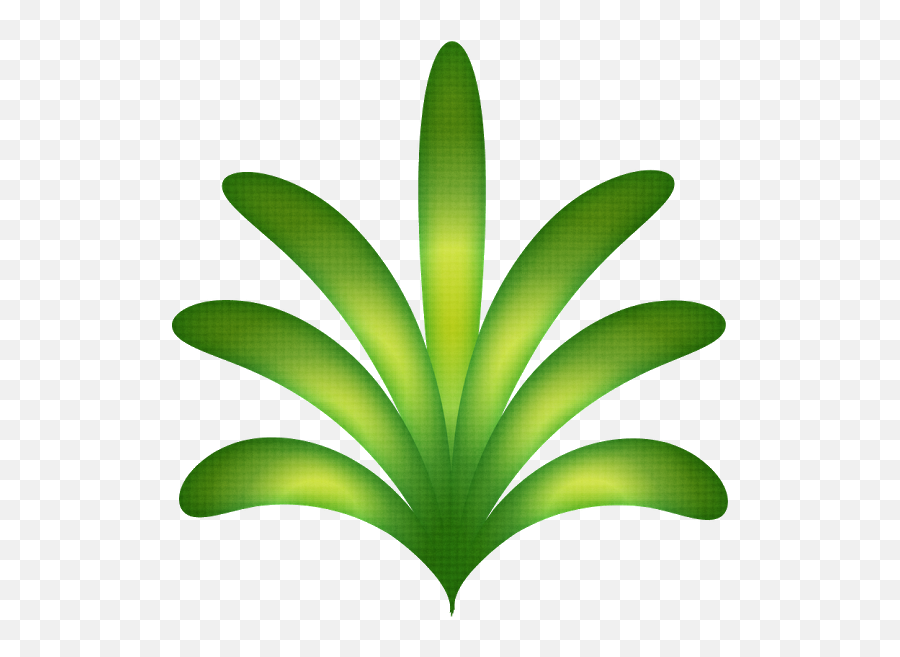 Luau Clipart Solid Png