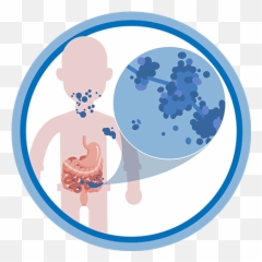About Fungal Diseases - Fungal Diseases Png,Fungi Png