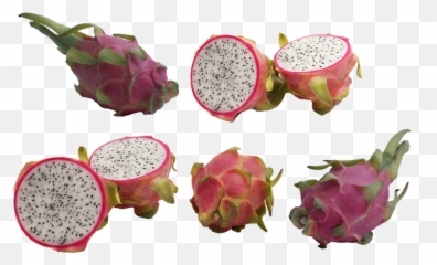Pitahaya Pitahaja Dragon Fruit - Dragon Fruit For Dengue Png,Dragonfruit Png