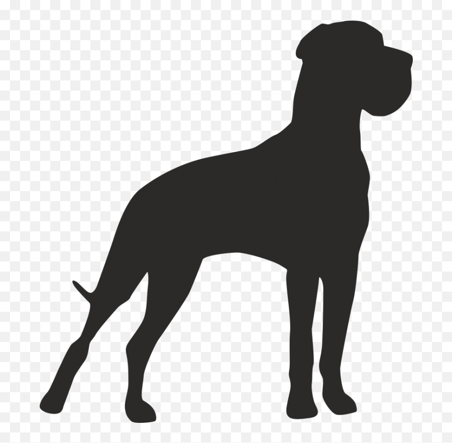 Great Dane Dog Breed Akita Pet Sitting - Transparent Great Dane Silhouette Png,Great Dane Png