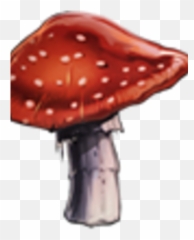 Leaping Toadstool - Leaping Toadstools Harry Potter Png,Toadstool Png
