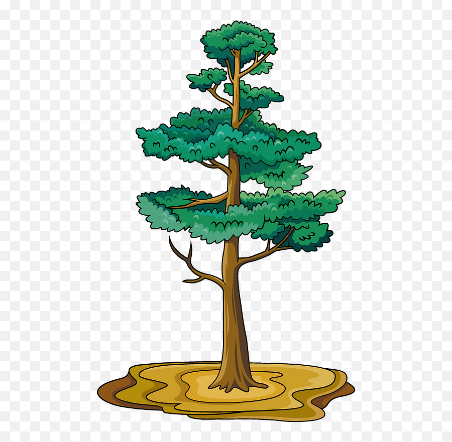 Pine Tree Clipart Free Download Transparent Png Creazilla - Pine Tree Clipart,Evergreen Trees Png