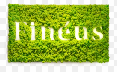 Green Logo - Mur Végetal Avec Logo Png,100 Pics Logos 71