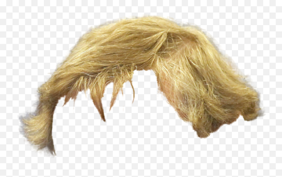 Hairstyle Blonde Hair Png Photos - Blonde Man Wig Transparent Background,Blonde Hair Png