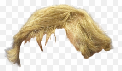 Hairstyle Blonde Png Photos - Man Wig Transparent Background