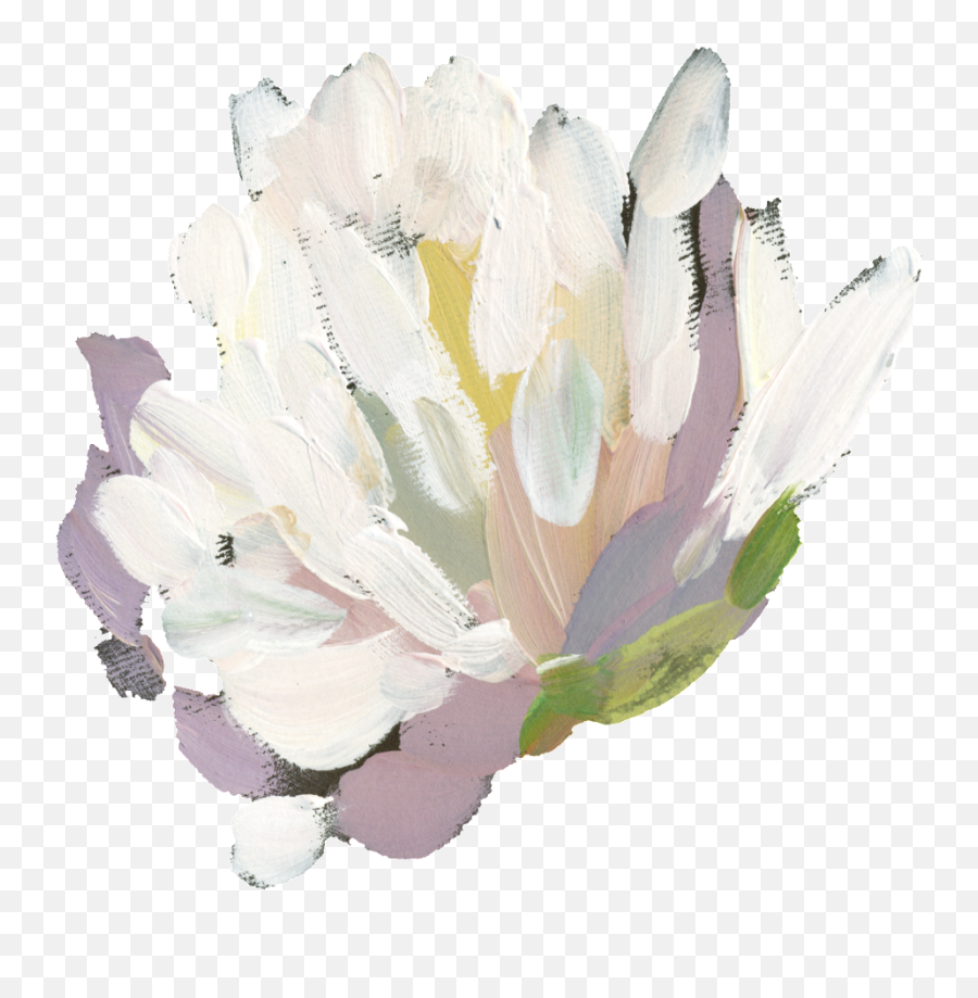 Hand Painted White Watercolor Flower - Sacred Lotus Png,White Flower Transparent