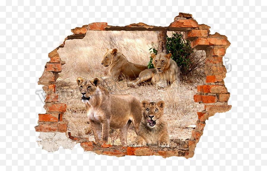 Download Wall Hole Png Graphic - Adhesive 3d 125 Cm Buco Nel Muro Hd,Hole In Wall Png