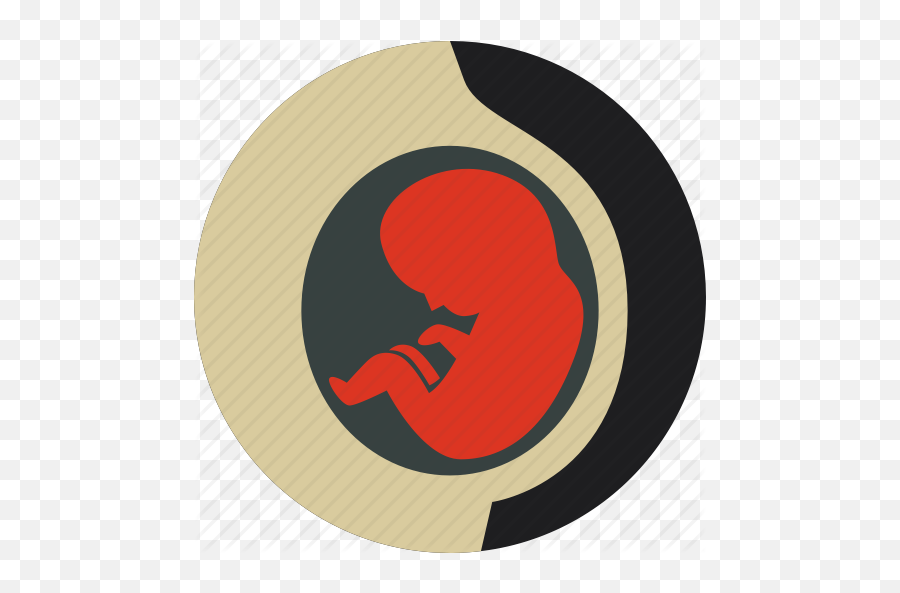 Embryo Fetus Newborn Obstetrics - Fetus Flat Icon Png,Embryo Png